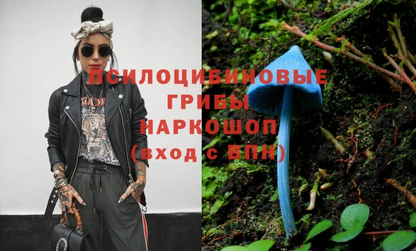 бошки Баксан