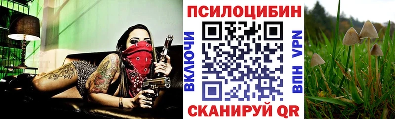 где купить   Красноперекопск  Псилоцибиновые грибы прущие грибы 
