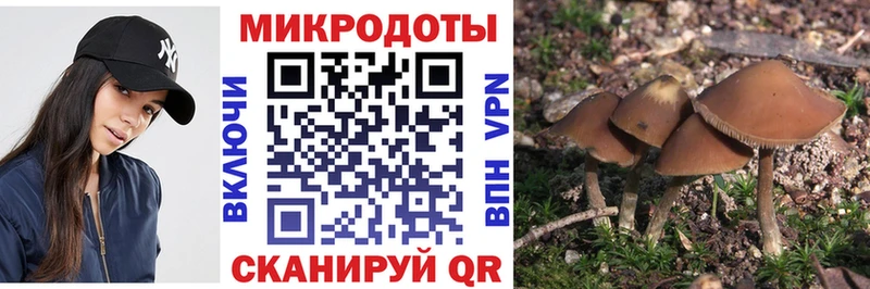 Псилоцибиновые грибы ЛСД Красноперекопск
