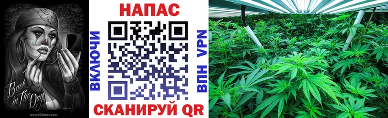 OMG как войти Красноперекопск Каннабис сатива